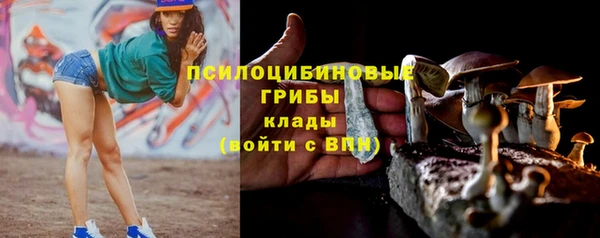 герыч Алзамай