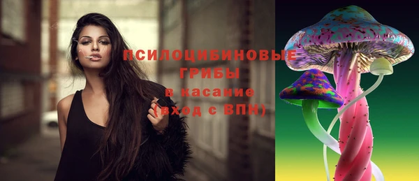 герыч Алзамай
