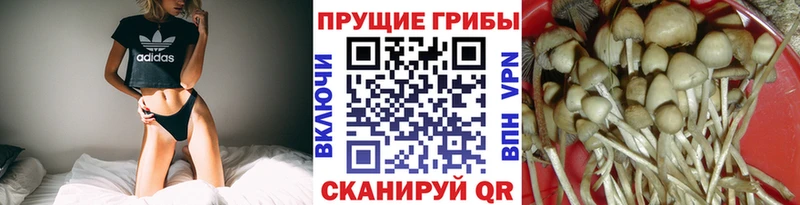 Галлюциногенные грибы Cubensis  Коряжма 