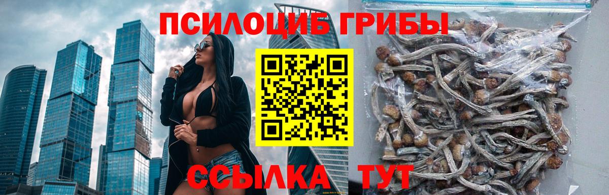Псилоцибиновые грибы мицелий Коряжма