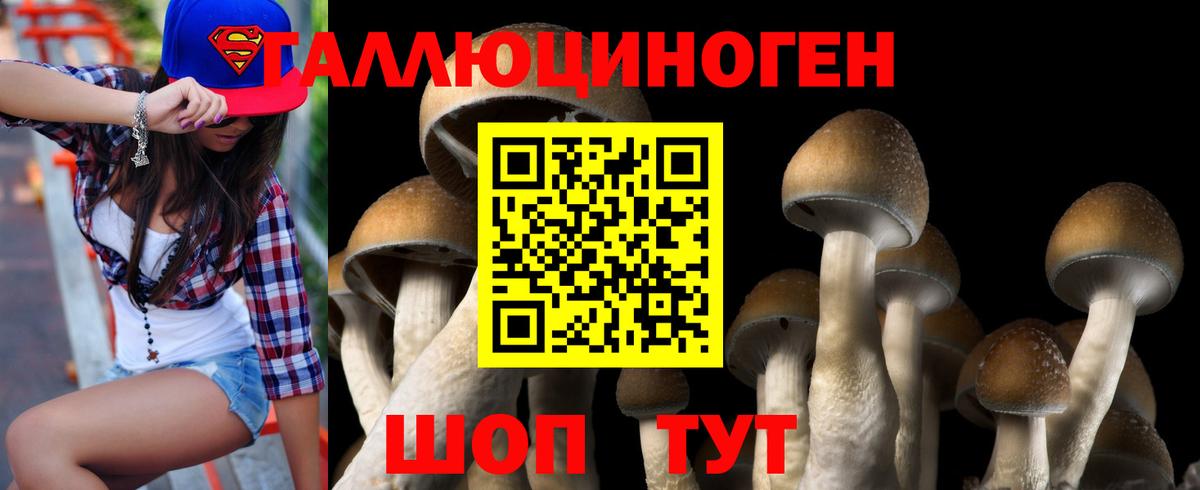 цена наркотик  Галлюциногенные грибы Psilocybine cubensis  Галлюциногенные грибы прущие грибы  Вход с VPN  Коряжма 